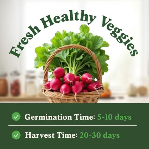 Organic Non-GMO Vegetable Seeds for Planting (Cherry Belle Radish) - Image 2