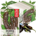 Seed Needs Pasilla Bajio Hot Pepper Seeds to Plant Vegetables - 20 Packs by SeedNeeds