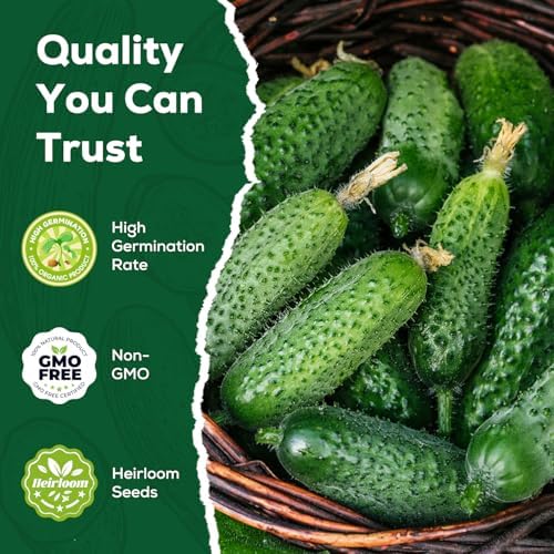 Marketmore Cucumber Seeds for Planting - 100 Heirloom Seed Packet - High Yield Slicing Cucumber for Home Garden, Indoor/Outdoor - Image 2