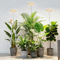 6.3in Grow Lights for Indoor Plants, Full Spectrum Plant Light by HOME