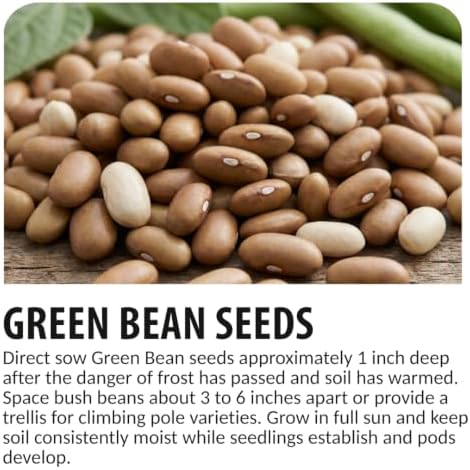 100 Premium Non-GMO Seed Collection, Green Beans - Image 6