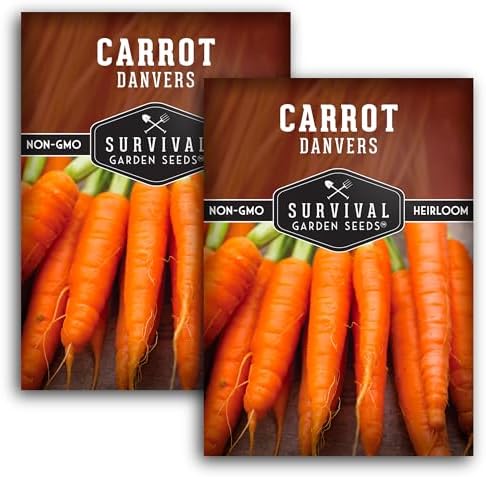 Danvers Carrot Seeds for Planting - Survival Garden Seeds (2 Packs) by SurvivalGardenSeeds