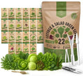 Organo Republic 22 Lettuce & Salad Greens Seeds Variety Pack 24,700+ Non-GMO Heirloom Lettuce Seeds for Indoor & Outdoor Garden, Hydroponic & Aeroponic - 2026 Season - Arugula, Spinach, Swiss Chard by OrganoRepublic
