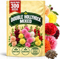 Rare Hollyhock Seeds – 300+ Double Hollyhock Flower Seeds – Non-GMO, Heirloom Perennial – Showy Blooms for Outdoor Planting by WilyFox