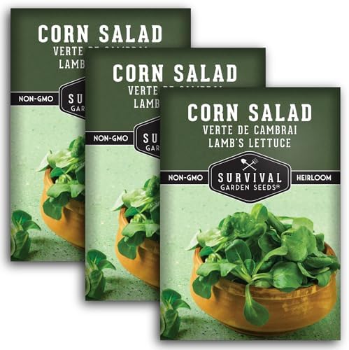 Corn Salad Seeds for Planting - Mache, Lamb's Lettuce (3 Packs) by SurvivalGardenSeeds