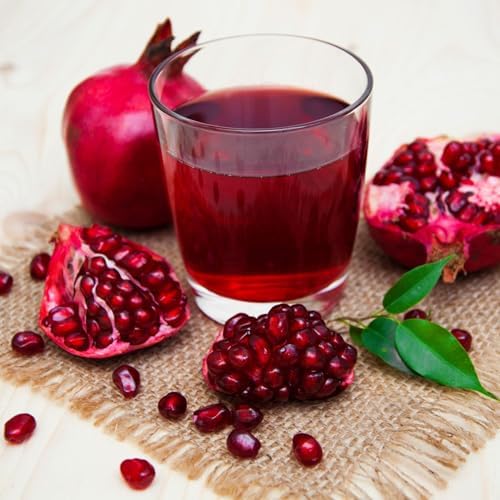 Pomegranate Wonderful Live for Sale (4 Pack) | Easy to Grow Plants | Edible Fruit Plant for Sustainable Living | Grow Your own Food on Your Edible Organic Garden| Live for Planting| 2 inch Pot - Image 7