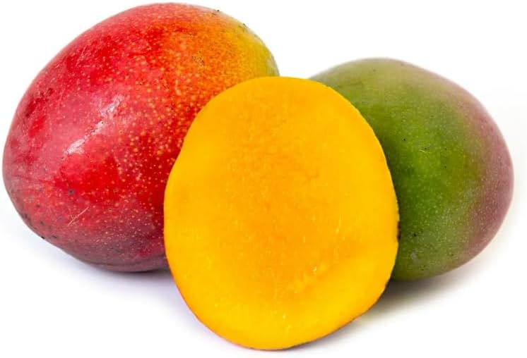 Red Yellow Mango Tree Live Plant, Tropical Fruit, 3 Gallon Pot - Image 4