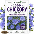 Garden Seeds for Planting, 1000 Chickory by CZGrain