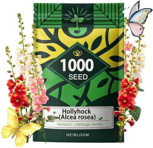 Hollyhock Seeds 1000 pcs Cottage Garden Seeds, Biennial Flowers by Unknown