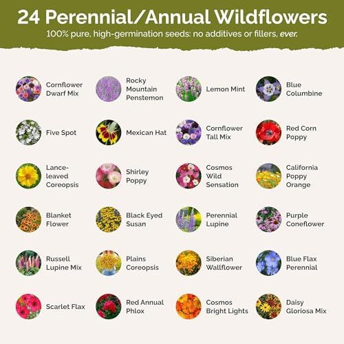 Eden Brothers Western Wildflower Mixed Seeds for Planting, 50 lb, 24,000,000+ Seeds with Cornflower, Blanket Flower | Attracts Pollinators, Plant in Spring or Fall, Zones 3, 4, 5, 6, 7, 8, 9, 10 - Image 3