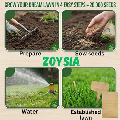 20000 Zoysia Grass Seeds, Zoysia Grass Seeds for Lawn, Low Maintenance - Image 6