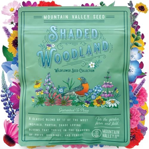 Mountain Valley Seed Co Wildflower Seed Bulk, 3 Oz. 80,000+ Seeds by MountainValleySeedCompany