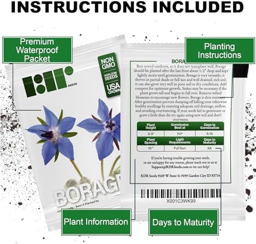 Borage Seeds - Starflower - Heirloom Non-GMO Herb Seeds for Planting an Herb Garden - 100 Seeds - Borago Officinalis - by RDR Seeds - Image 4