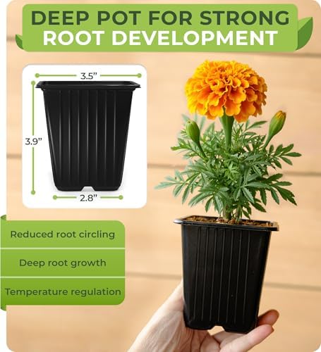 CARPATHEN Nursery Pots for Plants with Drainage Holes, 3.5 inch, 60 Pack - Image 2