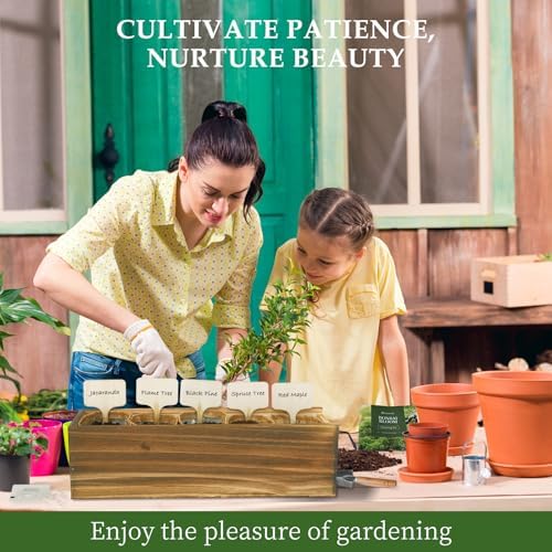 5 DIY Bonsai Tree Kit for Beginners, Complete Indoor Gardening Starter Kit with Seeds, Soils, Pots & Tools, Unique Birthday Gifts Ideas for Women, Men - Image 5