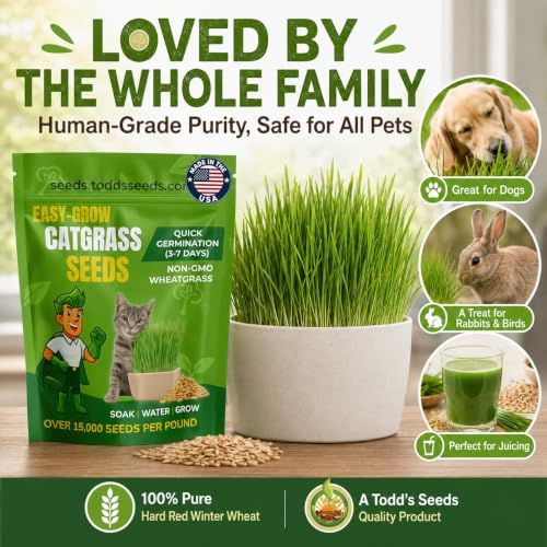 Cat Grass Wheatgrass Seeds, 1/2 lb - Non-GMO, Pet Safe - Image 6