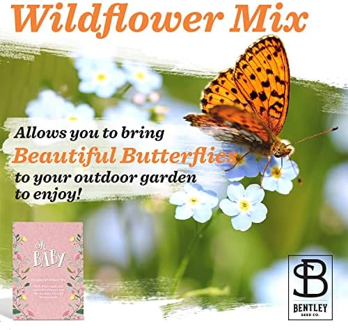 BENTLEY SEED CO. Oh Baby Flower Seeds Packets - Girl/Boy Baby Shower Favors - Pre-Filled, 25 Wildflower Seed Packs for Favor - Eco-Friendly Gift & Babys Guest Giveaways - Non-GMO Seeds - Pink - Image 3