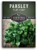 Italian Flat Leaf Parsley Seeds for Planting - 1 Pack by SurvivalGardenSeeds