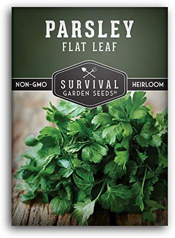 Italian Flat Leaf Parsley Seeds for Planting - 1 Pack by SurvivalGardenSeeds