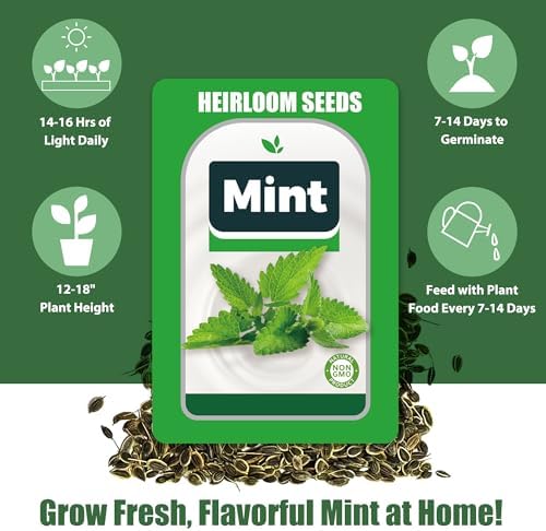 Mint Seed Pods for All Hydroponics Growing Systems, 12 Pods Herb Kit with Seeds of Peppermint, Grow Your Own Herb Garden at Home - Image 3
