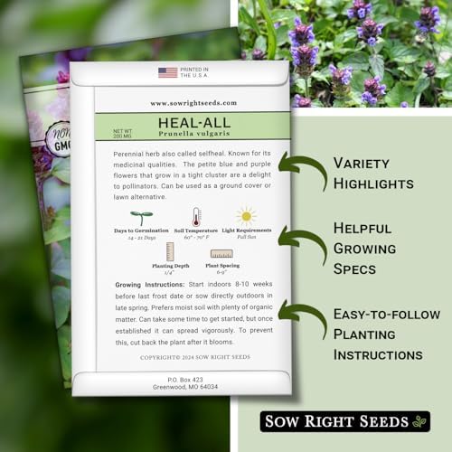 Sow Right Seeds - Heal-All Seed for Planting Self Heal Perennial Herb 2pk - Image 2