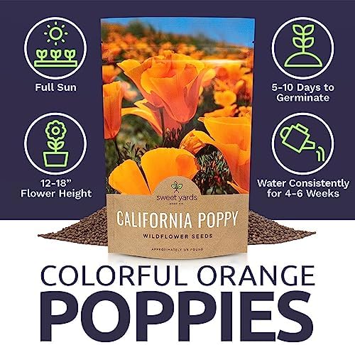 California Orange Poppy Wildflower Seeds - Bulk 1/4 Pound Bag - Over 80,000 Native Seeds - California State Flower! - Image 6