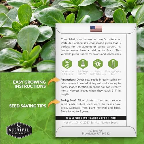 Corn Salad Seeds for Planting - Mache, Lamb's Lettuce (5 Packs) - Image 2