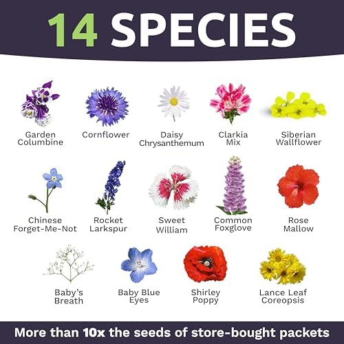 Wildflower Seeds Partial Shade Mix - 1 Ounce Over 7,000 Open Pollinated Annual and Perennial Seeds - Image 4