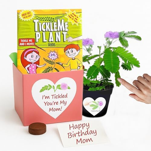 Birthday Gift for Mom – TickleMe Plant that Moves When Touched – Adult Plants Can Produce Pink Flowers – Unique Gift for Mom from Daughter, Son or Kids – Easy Indoor Grow Kit by TickleMePlantandZOMBIEPLANTProducts