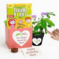 Birthday Gift for Mom – TickleMe Plant that Moves When Touched – Adult Plants Can Produce Pink Flowers – Unique Gift for Mom from Daughter, Son or Kids – Easy Indoor Grow Kit by TickleMePlantandZOMBIEPLANTProducts