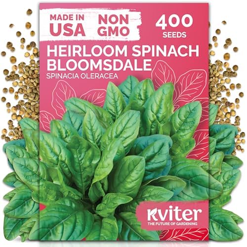400 Bloomsdale Spinach Heirloom Vegetable Seeds, Spinacia Oleracea by KVITER