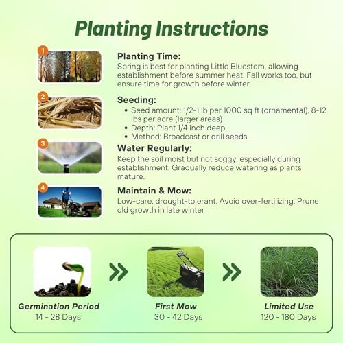 Outsidepride Perennial Little Bluestem Grass Seed - 10 lbs. Warm Season, Drought Resistant, Long-Lived Native Prairie Grass Seed, Ideal for Erosion Control, Ornamental Landscaping & Wildlife Gardens - Image 5