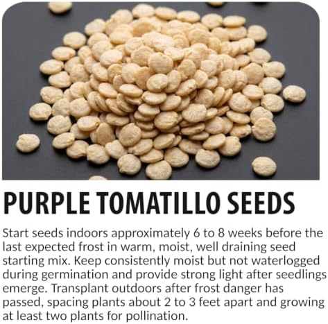 100 Purple Tomatillo Seeds | Heirloom Vegetable Seeds for Planting - Image 6