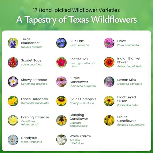 Texas Wildflower Seed Mix – Over 60,000 Flower Seeds, Covers 300 Sq Ft - Image 3