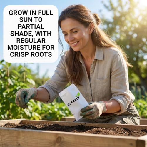 100 Cherry Belle Radish Seeds | Fast Growing Vegetable Seeds for Planting - Image 4