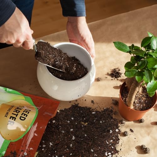 Doter Seed Starter Potting Soil Mix 2qt, Seed Starting Mix for Germination and Growth, Loamy Compost Well-Drainaged Soil Fit for Vegetable, Flower, houseplant - Image 3