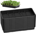 SOLIGT Extra Thick Heavy Duty 10 Pack 1020 Seed Starting Trays by SOLIGT