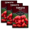 Roma Tomato Seeds for Planting - 3 Packs by SurvivalGardenSeeds