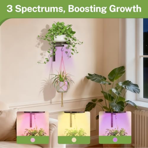 Plant Wall Hanger with Grow Light for Indoor, Metal Hook, Black - Image 5