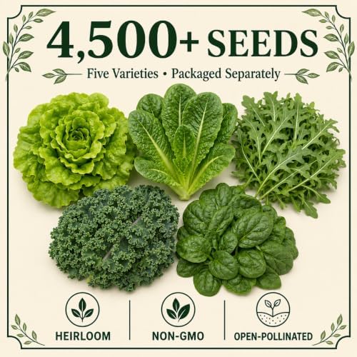 Gardeners Basics Lettuce Seeds for Planting, Kale, Spinach and Arugula - Image 2