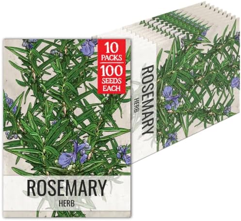 Seed Needs Herb Seeds to Plant Rosemary - Heirloom & Non-GMO Herbs 10 Packs by SeedNeeds