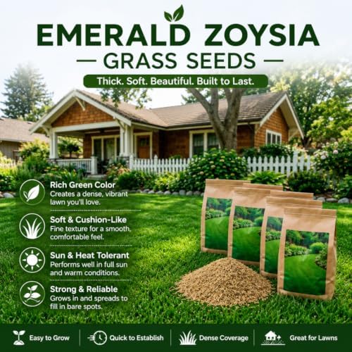 100,000 Emerald Zoysia Grass Seeds for Planting - Image 2
