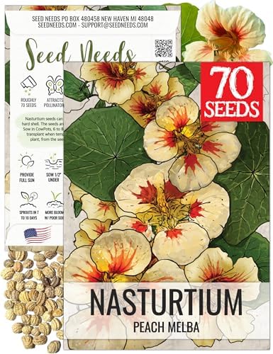Seed Needs Peach Melba Nasturtium Seeds to Plant Edible Flowers 1 Pack by SeedNeeds