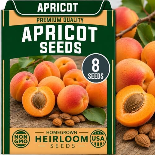 8 Apricot Tree Seeds | Prunus Armeniaca Fruit Tree Seeds by CZGrain