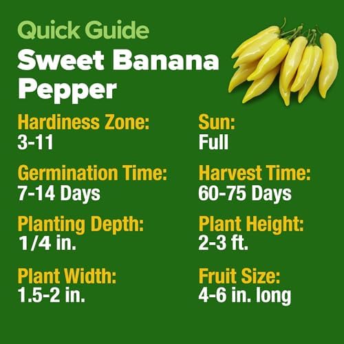 HOME GROWN Sweet Banana Pepper Seeds, 188+ Seeds, Capsicum annuum - Image 6