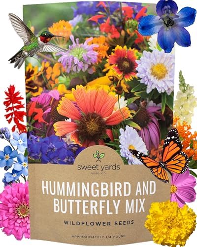 Bulk Wildflower Seeds Butterfly and Humming Bird Mix - 1/4 Pound Bag - Over 30,000 Open Pollinated Annual and Perennial Seeds by SweetYards