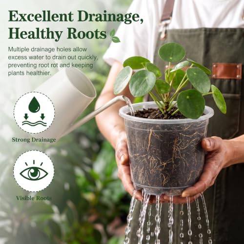 OUPSAUI 20 Pack 3.5 Inch Clear Nursery Pots with Drainage Holes for Plant - Image 4