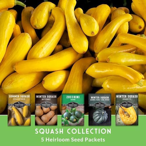 Squash Seeds Collection for Planting - Image 3