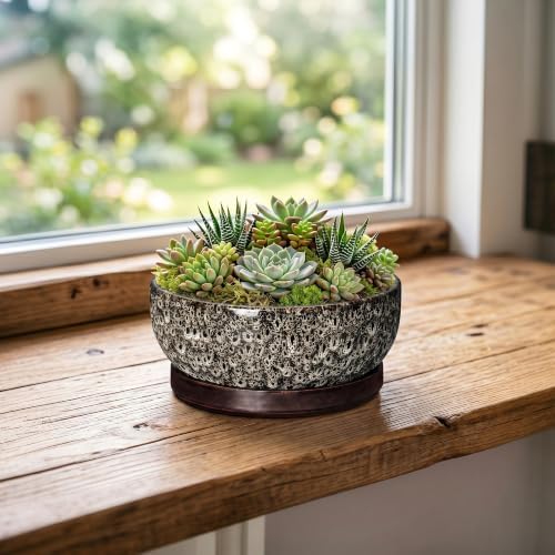 Succulent Pots 6 Inch, Ceramic Bonsai Pots with Tray, White Leopard - Image 3