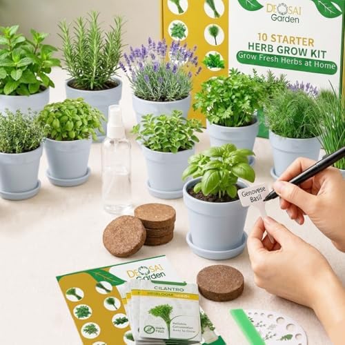 47 PCS Herb Garden Seeds Starter Kit, 10 Non-GMO Culinary Herb Seeds with White Pots & Planters for Windowsill, Herb Growing Kit Indoor & Outdoor, Unique Herb Garden Gift Set for Gardening Lovers - Image 6